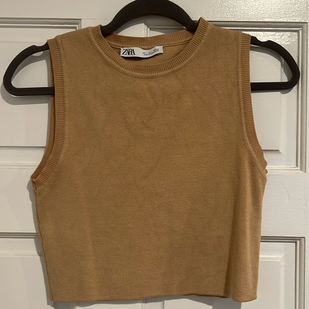 Zara Tan Crop Top